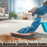 How to Remove Tannin Stains from Carpet